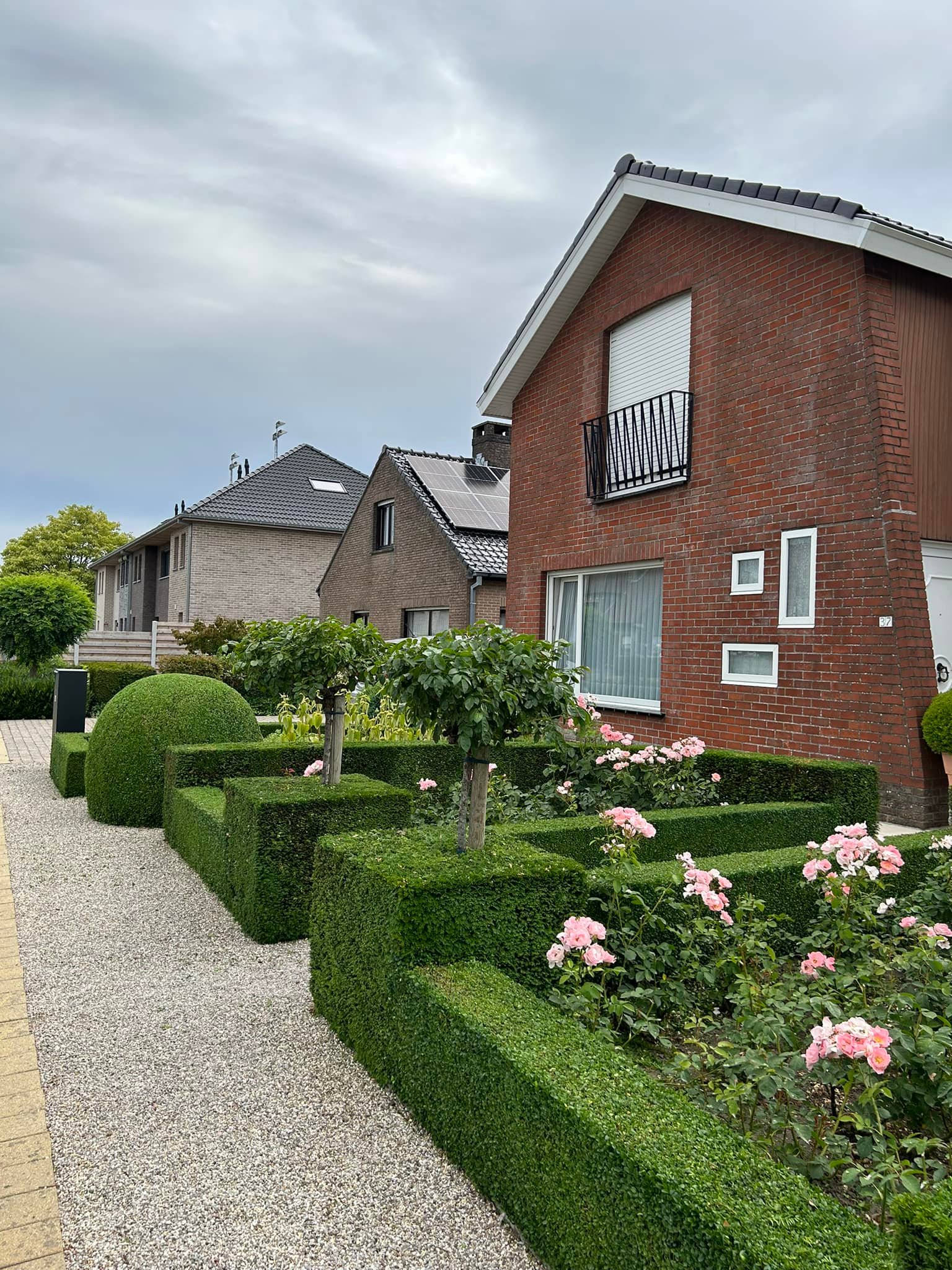Hagen snoeien, buxus snoeien, tuinperk aanleggen