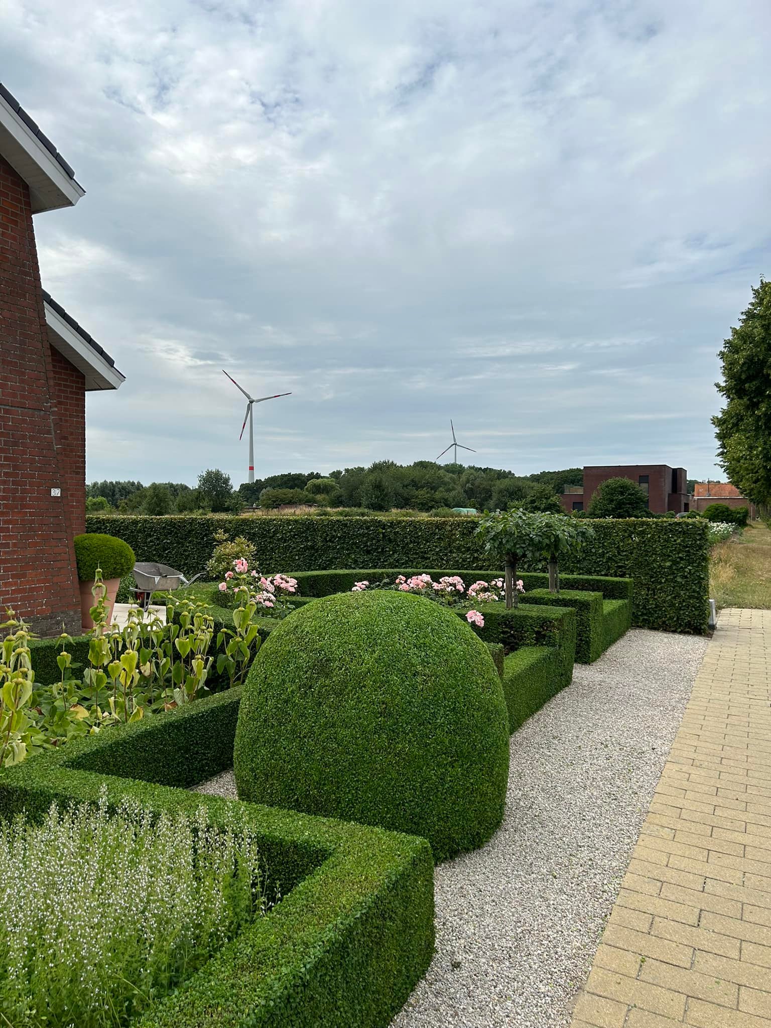 Hagen snoeien, buxus snoeien, tuinperk aanleggen