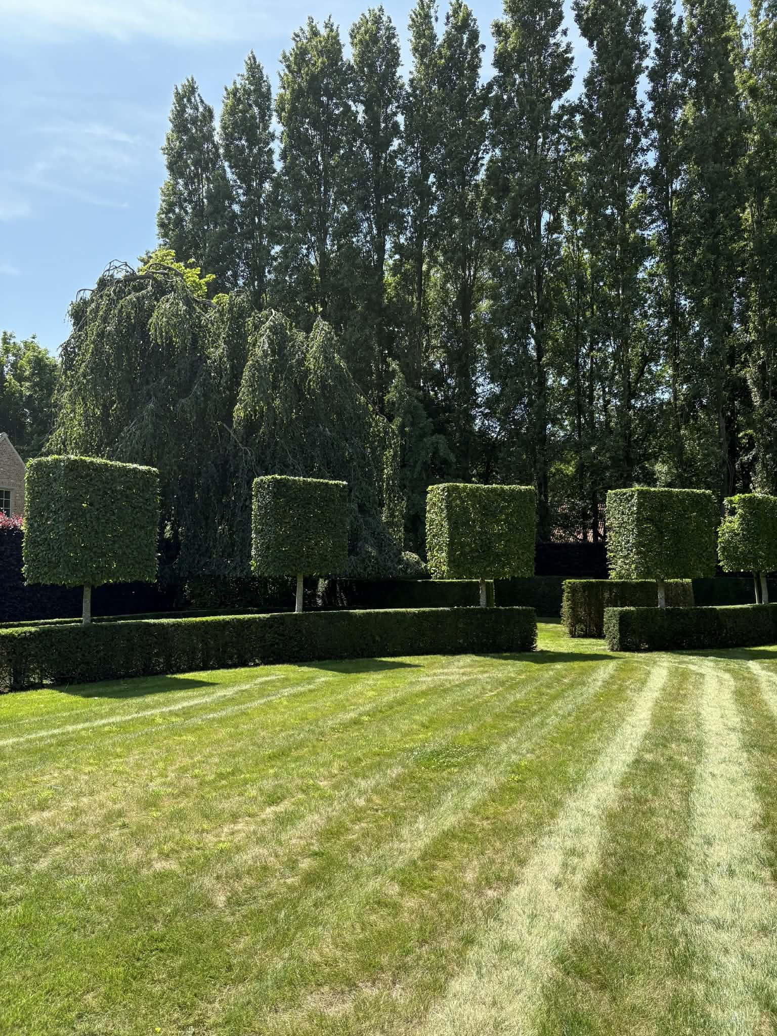 Gazon aanleggen, gras maaien, hagen snoeien, bomen snoeien