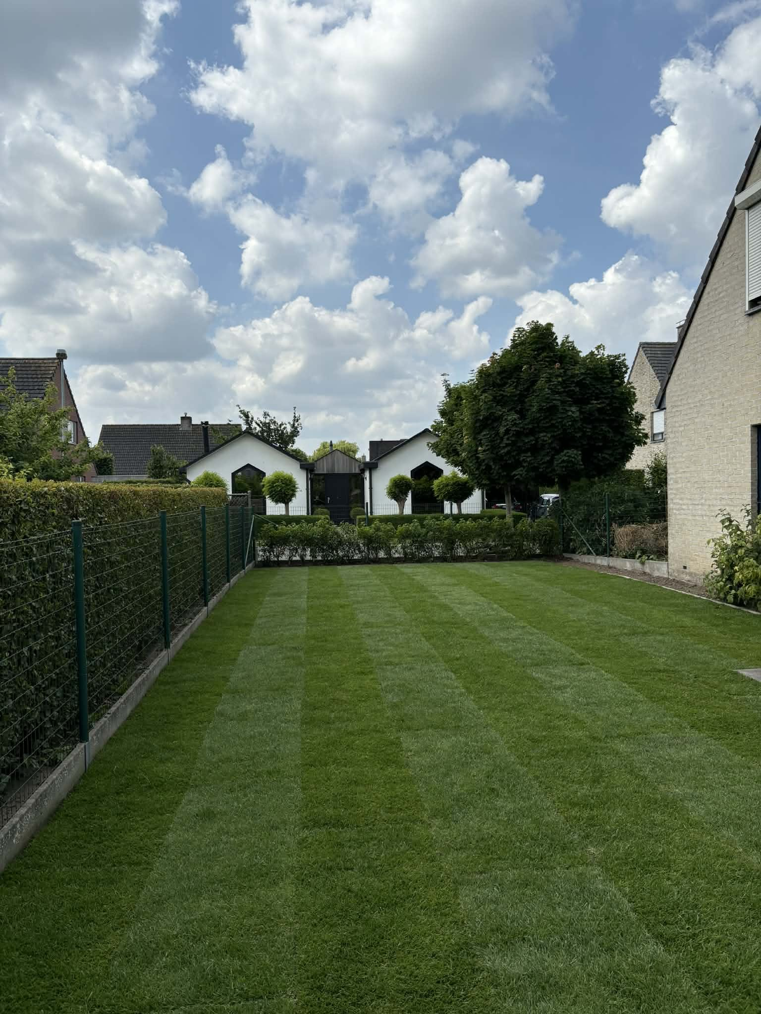 Gazon aanleggen, grasmatten